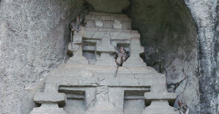 Wildlife Encounters - Monkeys on Alter in Stone Niche