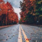 Fall Colors - Concrete Road Between Trees