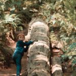 Outdoor Adventures - Boy Standing next to Fallen Tree in Forest